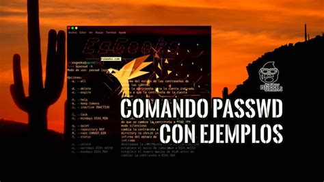 Vamos a ver algunas de las dudas más frecuentes acerca de usuarios y grupos en linux, como por ejemplo cómo listar usuarios en linux por medio de la terminal (nos valdremos de varios comandos), cómo listar los grupos en linux, cómo borrar usuarios, cómo crear usuarios en linux, y muchas opciones más que. Comando passwd en Linux con Ejemplos » EsGeeks