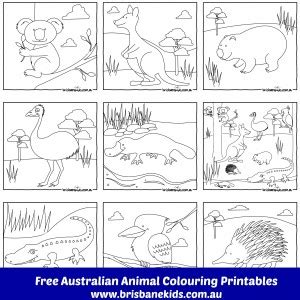 Certainly, coloring pages with such animals as cats and kittens will raise a smile upon the face of any person. Australian Animals Colouring Pages | Brisbane Kids