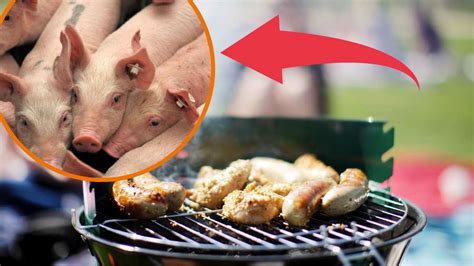 Die aktuell getesteten stiftung warentest waschmaschinen im vergleich. Stiftung Warentest/Fleisch: Edeka und Netto im Test ...