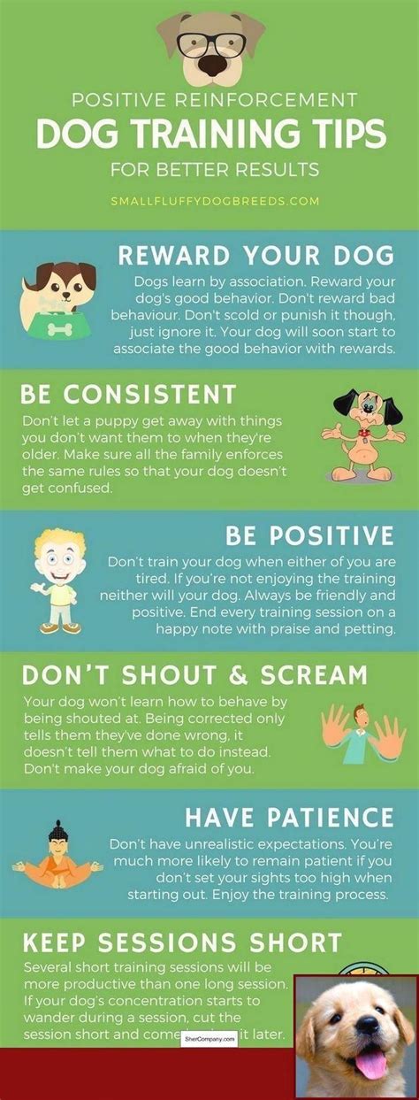 Positive puppy socialization experiences are so important if you want your little one to enjoy a socializing your puppy with other people. Potty Training Puppy No Crate and Service Dog Training ...