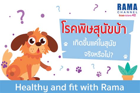 Official page of department of family medicine ramathibodi hospital. คณะแพทยศาสตร์โรงพยาบาลรามาธิบดี | มหาวิทยาลัยมหิดล