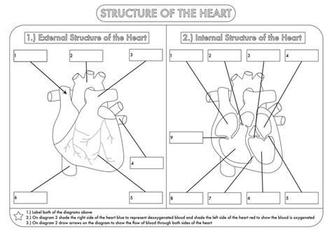 4th grade coloring pages are a fun way for kids of all ages to develop creativity, focus, motor skills and color recognition. 4th Grade Science Worksheets | Science worksheets, 4th ...