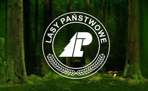 Państwowe gospodarstwo leśne lasy państwowe. Lasy Państwowe - Puszcza Knyszyńska