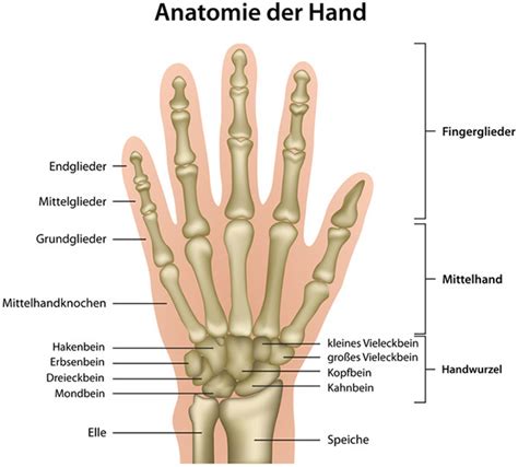 Im zweifelsfalle sollten sie ihren hausarzt einen blick darauf werfen lassen, denn dabei handelt es sich meistens um eine oberflächliche venenthrombose. Handgelenkschmerzen: Ursachen, Therapie und Vorbeugung