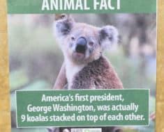There are some topics that aren't funny to make jokes out of. 20 Incredibly Funny Short Jokes That Are Guaranteed To ...