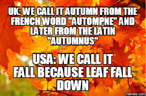 You can get a credit card at any age as long as you're financially capable and responsible for your credit card. 23 (Pumpkin) Spicy Fall Memes To Get You In That Autumn Mood