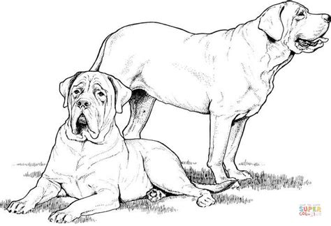 Search through 623,989 free printable colorings at getcolorings. Labrador and mastiff coloring page | Free Printable ...