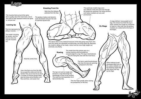 Muscle drawing back side wri back side in 2019 drawing. Tutorial: Legs 3 by Bambs79 Muscular female anatomy comic ...