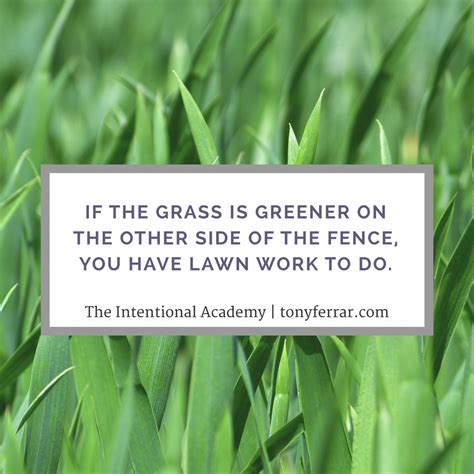 I hope this has inspired you to change your angle and feel satisfied with your current achievements and i'd love to hear about your experience with it. The Grass is Always Greener - TonyFerrar.com