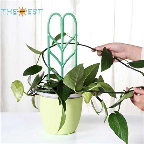 I just take a piece of hog wire and tie the ends to rebar with cable ties. 3pcs Leaf Shape Garden Trellis for Climbing Plants Potted ...