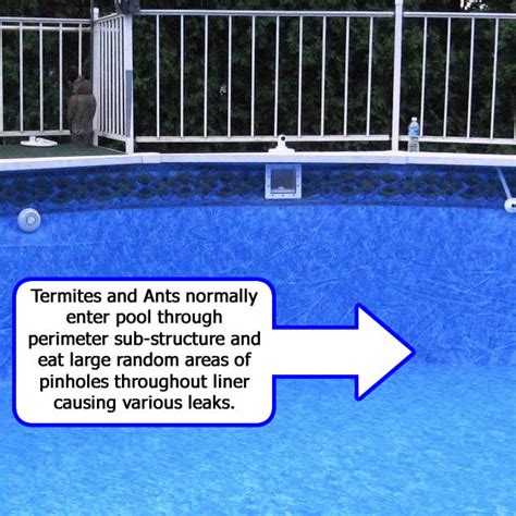 A wall can look pretty bad and still be fine, but if there are spots where it has rusted all the way through then that is bad and cause for alarm. Termites Damage Pools Inground, Above Ground or Pipes