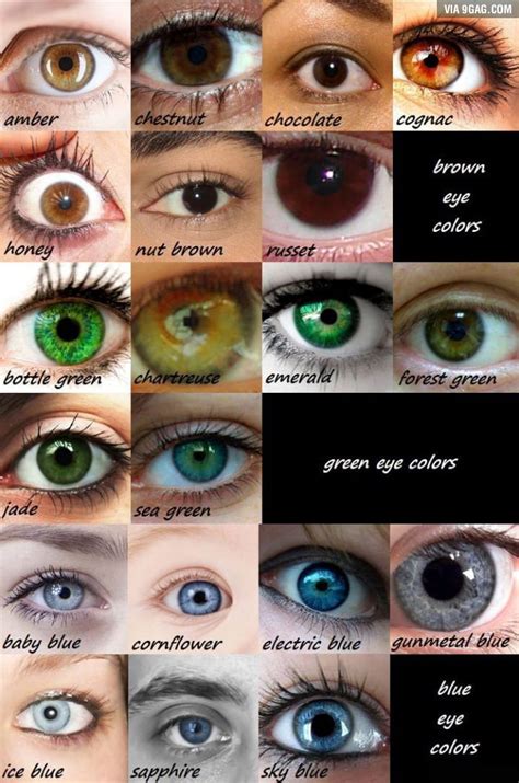 What does your eye color say about you? What color eyes do you have? - 9GAG