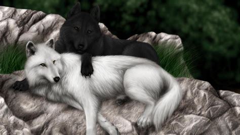 Because they don't need help, or to rely on others to live their lives. Anime White Wolf Wallpapers - Wallpaper Cave