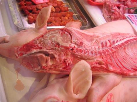 Last year's half pig cost us $4.32/lb, so by raising it ourselves we saved almost $2 per pound. How much does it cost to butcher a pig? | Best Smokers Info