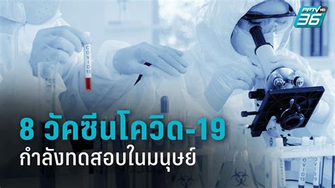 8 จาก 102 วัคซีนโควิด-19 ตัวต้นแบบ กำลังทดสอบในมนุษย์ ...