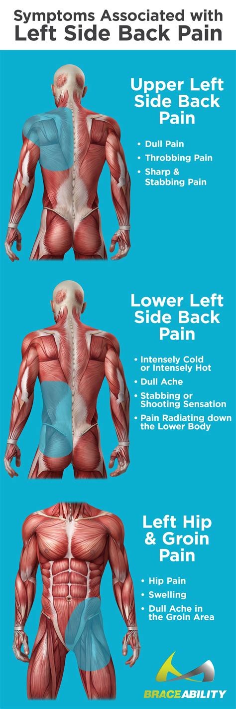 Left side abdominal pain is defined as any annoying or unpleasant sensation occurring in the abdomen to the left. Pin on Back Injuries & Spine Disorders | What's Causing my ...
