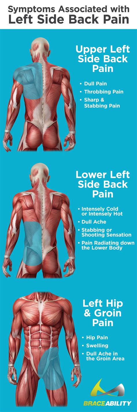 An infection in the left kidney can cause dull or intense lower left back pain. Pin on Back Injuries & Spine Disorders | What's Causing my ...