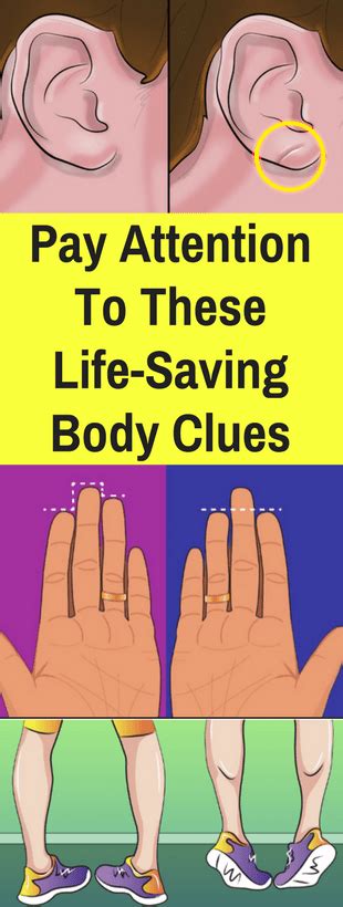 Class 8 science chapter 2 health and diseases exercise | health and diseases class 8 exercise answerexercise health and diseasesclass 8 . Our bodies are capable of so many incredible feats and ...