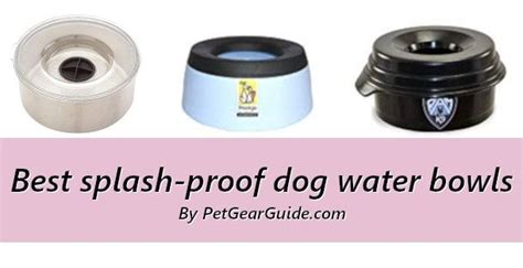 Interested in dog water bowls or automatic feeders? Top 11 best splash-proof dog water bowls (Updated 2020 ...