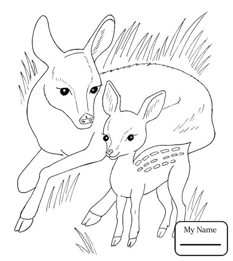 Yes, our big collection of coloring pages of baby animals is completely free and ready for instant download. Baby Sea Animals Coloring Pages at GetColorings.com | Free ...