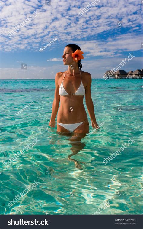 See more ideas about french actress, french women, beautiful french women. Beautiful Woman Tahiti White Bikini Flower Stock Photo ...