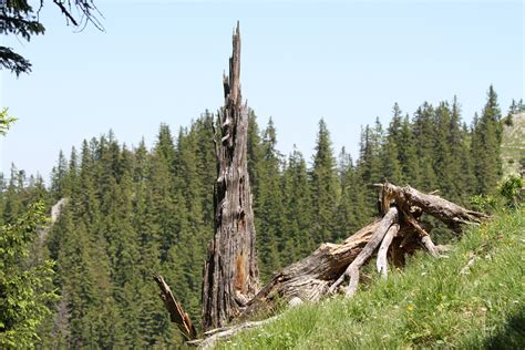 Trotz seiner geringen höhe bietet der kleine gipfel im. Die Baumgartenschneid