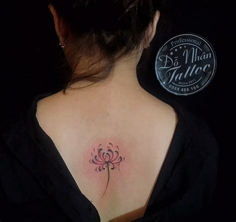 Xăm mini hoa bỉ ngạn. Hình xăm hoa bỉ ngạn, tattoo for girl, tattoo for mens ...