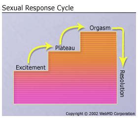 2 years ago 05:37 youporn first time. Sexual Response Cycle: Sexual Arousal, Orgasm, and More