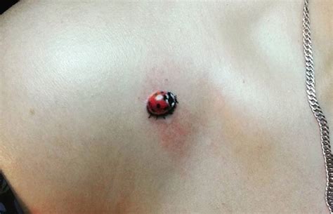 This is done in very dark colours and therefore this looks quite colourful. 30 Best Ladybug Tattoo Design Ideas | The Paws