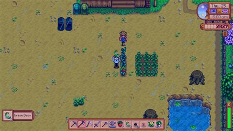 The coffee bean is a crop and a plantable seed. Green Bean harvest wow - Stardew Valley - YouTube