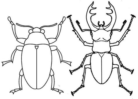 Updated 3 month 17 day ago. Scarab And Stag Beetle Coloring Page | Insect coloring ...