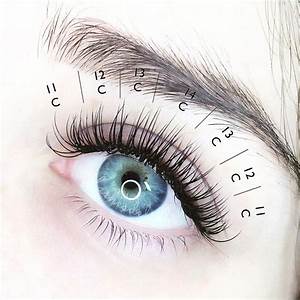 Image Result For Eyelash Extension Mapping Lashes Beautytipsdiy
