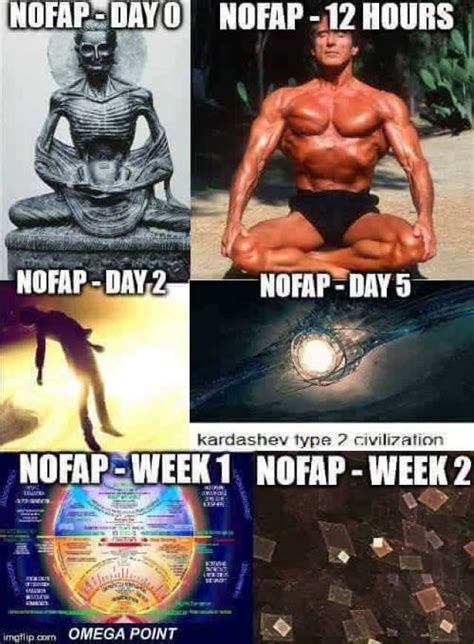 It's no secret as to why either. dopl3r.com - Memes - NOFAP DAYO NOFAP-12 HOURS NOFAP-DAY 2 ...