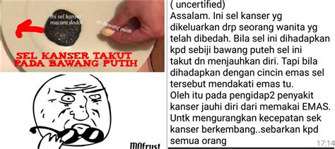 Demi keamanan, sebelum menggunakan minyak kayu putih baiknya. 'Kanser Bergerak Disuakan Bawang Putih?' - Testimoni ...