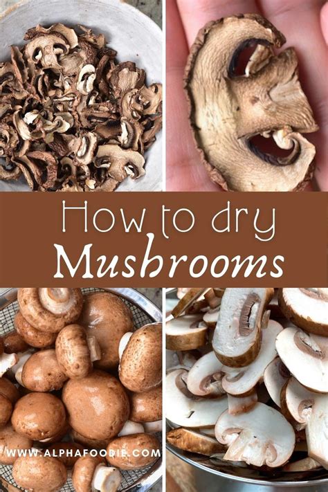 How To Dry Mushrooms (In Oven or Dehydrator) | Recipe in 2021 | Stuffed ...