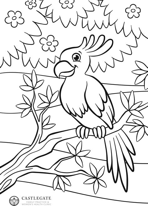 Original high quality colouring pages for you to print for your kids. Kids Corner - Castlegate Family Practice & Women's Clinic