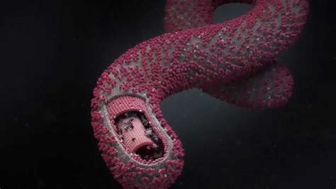 Maybe you would like to learn more about one of these? Virus Ebola 3d animation - 2014 - Ebola virus disease 3d ...