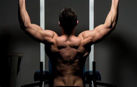 Anatomy of human back muscles, with ways to remember muscle names and actions. 7 Pull Up Bar Exercises that will Work Your Back - Juiced Gorilla