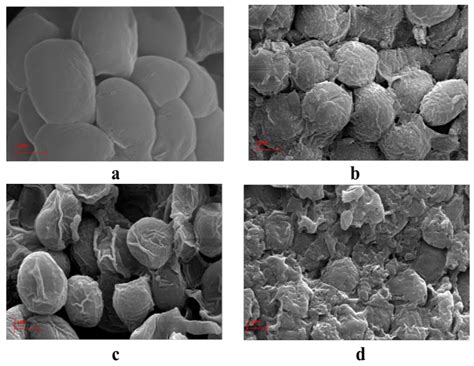 23, august, 1985 calculation of flame ionization detector relative response factors using the effective carbon number concept james t. Molecules | Free Full-Text | Microwave-Assisted Brine ...