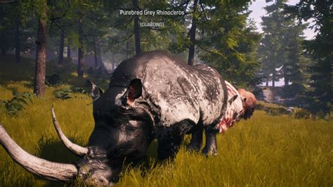 The thralls in conan exiles can have different specializations. Conan Exiles Rhino Guide and Map Locations - Onono