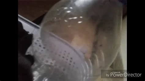 awesome life hack with plastic bottle - YouTube