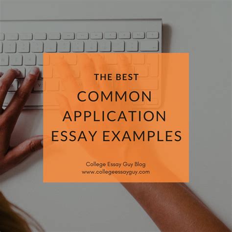 Often, the prompts that catch your attention do so. The Best Common App Essay Examples | Common app essay ...