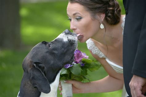 A Bride & Her Dog @danifinephoto | Animal articles, Animal lover, Dogs