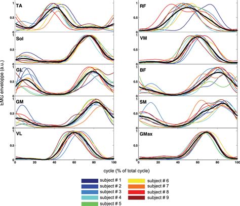 A lower back spasm usually feels like a muscle is firmly contracting or moving. EMG envelope for 10 lower limb muscles obtained in 9 subjects during... | Download Scientific ...