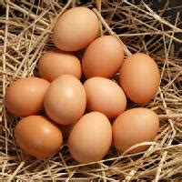 And great for lunch, dinner or meal prep! Desi Eggs - Desi Egg Suppliers, Desi Eggs Manufacturers ...