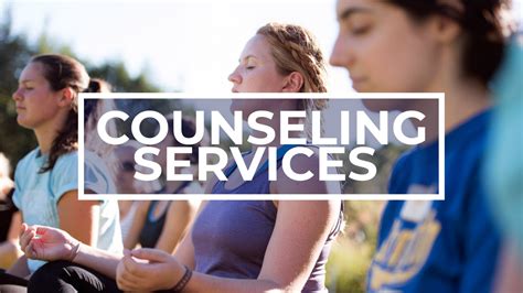 Demand for Counseling Services Increases - Q30 Television
