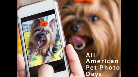 Estados unidos da américa (8). Celebrate All American Pet Photo Day with these quick tips ...