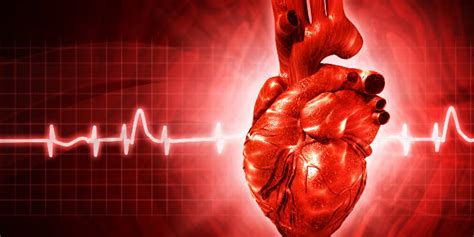 O tratamento da miocardite depende da causa e da gravidade. Síndrome cardiorrenal: compreendendo a conexão coração-rim ...