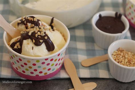 Recette glace express sans sorbetière : Délicieuse glace à la vanille facile et sans sorbetière