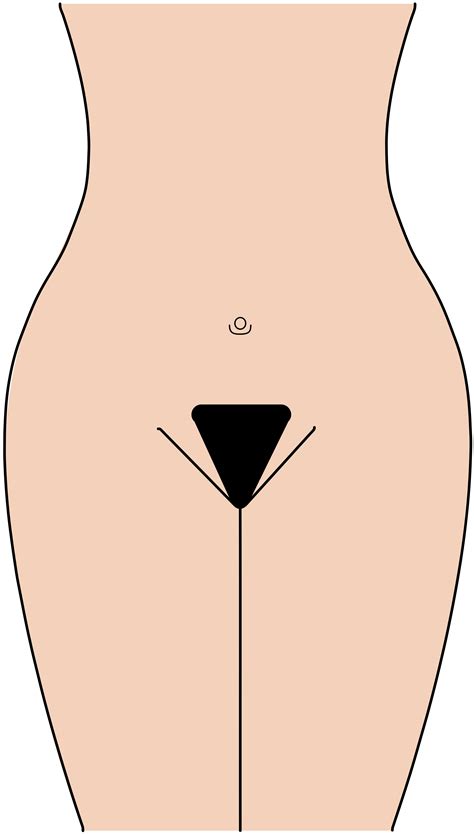 But shaving the most intimate area we're going to run down the best shaver for your pubic hair so you don't have to find it. Pubic Hair Transplant for Bikini Line Restoration · Bauman Medical